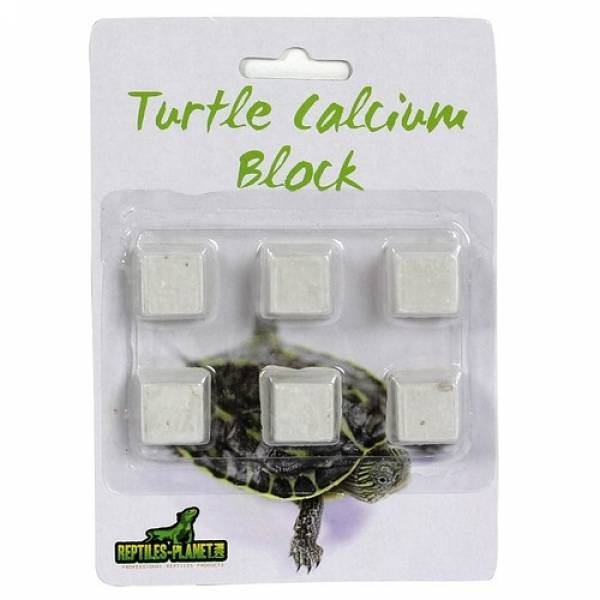 Turtle Calcium Block